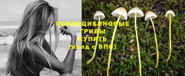 первитин Абаза
