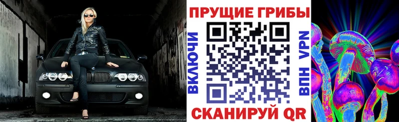 купить  сайты  Карталы  Галлюциногенные грибы ЛСД 