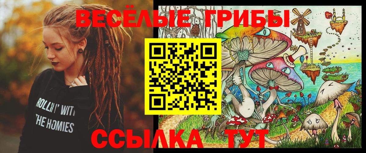 Псилоцибиновые грибы Psilocybine cubensis Карталы