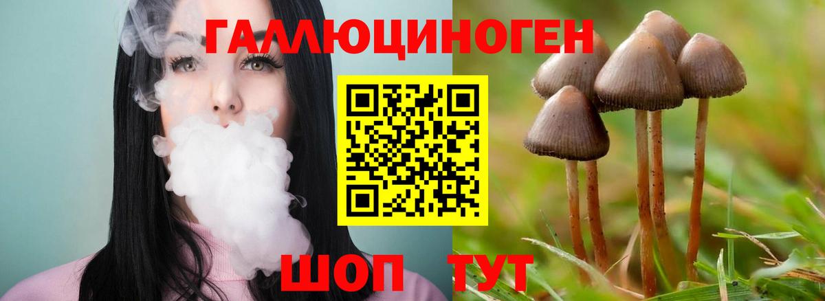 Псилоцибиновые грибы ЛСД  Вход с VPN  продажа наркотиков  Карталы  Псилоцибиновые грибы мицелий 